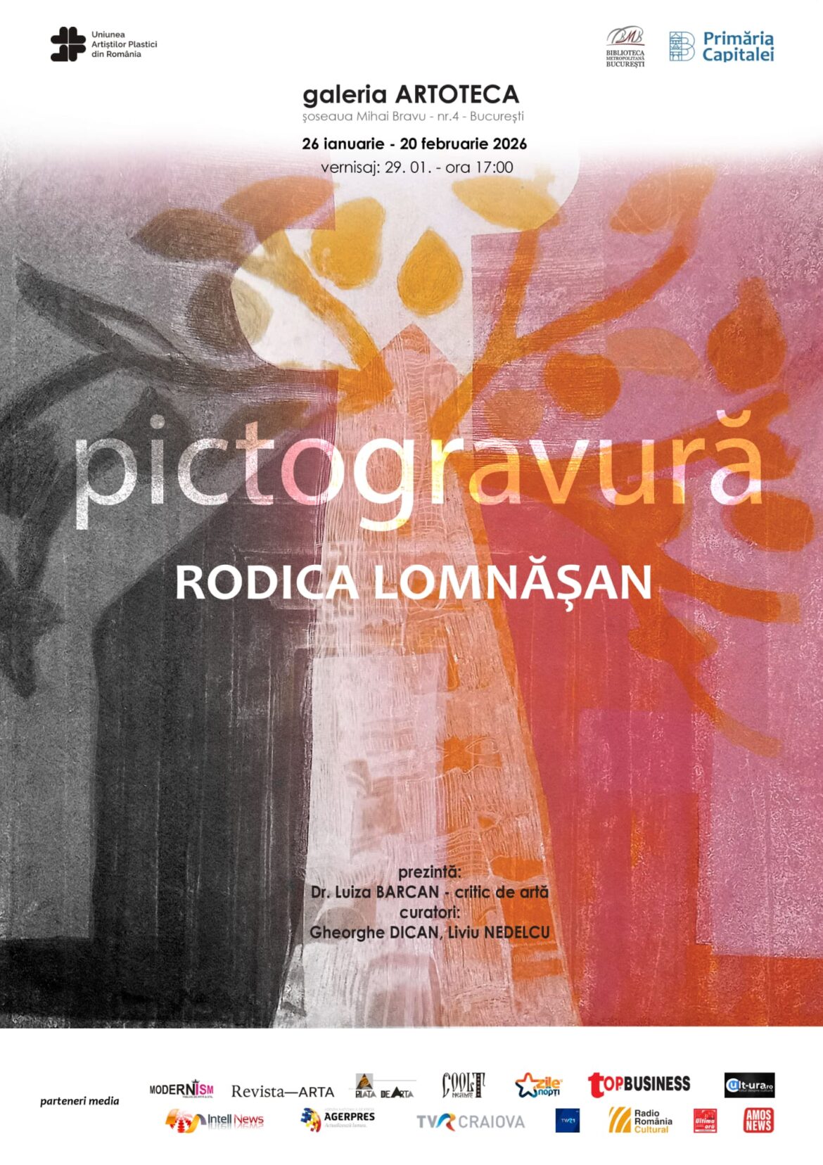 Afiș expoziție Rodica Lomășan